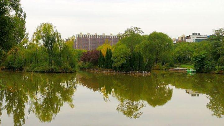 畅享年味过寒假 东湖龙娃过大年 ——濮阳市东湖小学寒假提升清单
