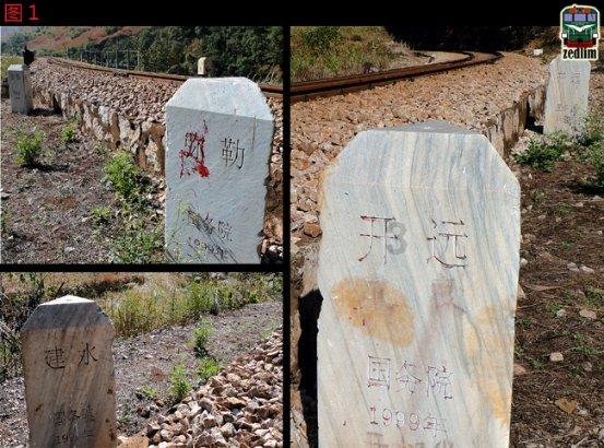 小乌龟逃亡记
