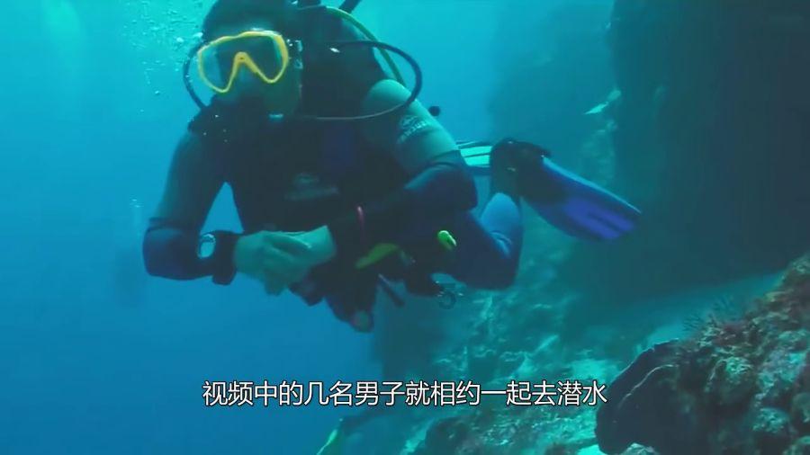 小宝贝仪仗队
