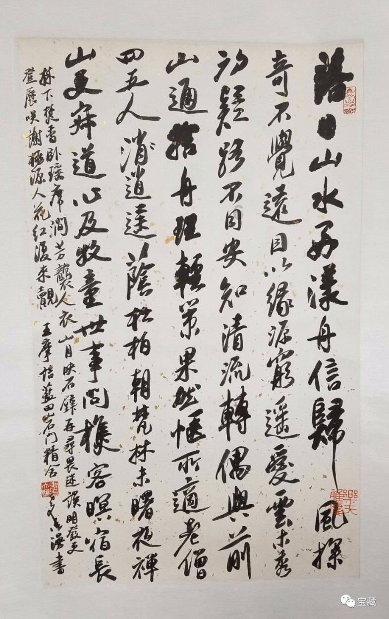 寻找萌宠松鼠