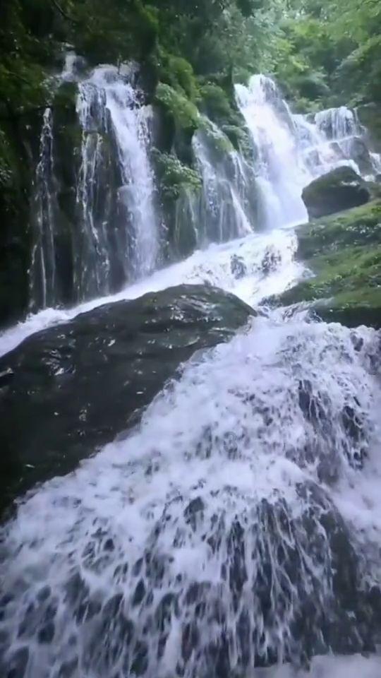 传统皇后救援