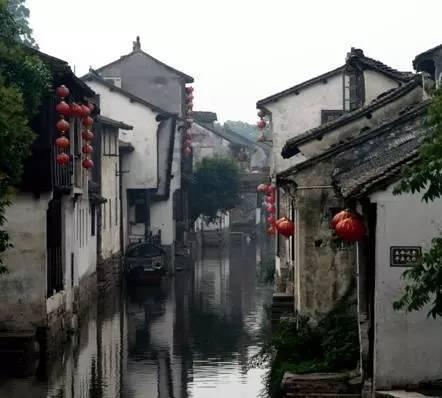 拯救可爱小鳄鱼