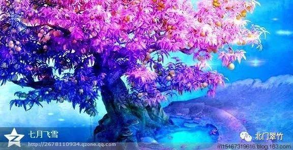 考个初级电工证多少钱